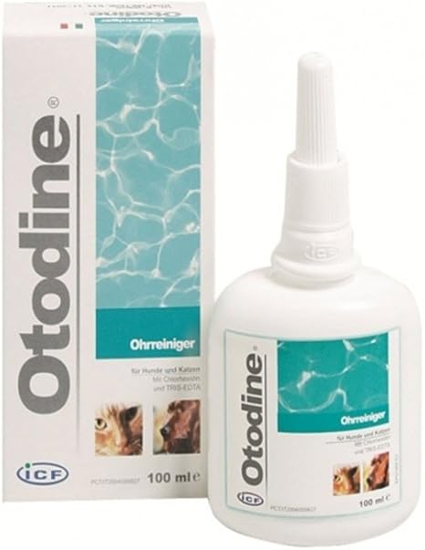 otodine dogs