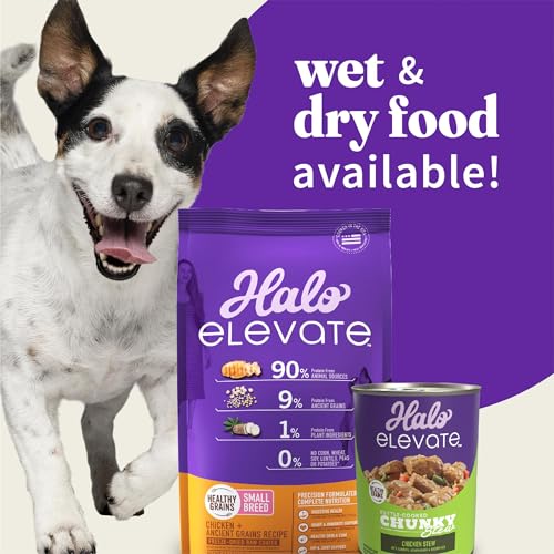 HALO ELEVATE SMALL BREED DOG FOOD, CHICKEN RECIPE, HEALTHY GRAINS DRY DOG FOOD, KIBBLE FOR ADULT DOGS, 3.5 LB BAG