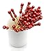 PuTwo Cocktail Picks Handmade Toothpicks 4.7” 100ct Red Beads with Rope
