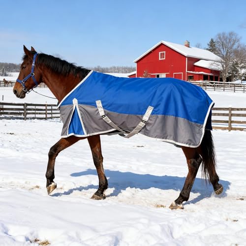 ZRSCHYG 1200D Winter Horse Blanket