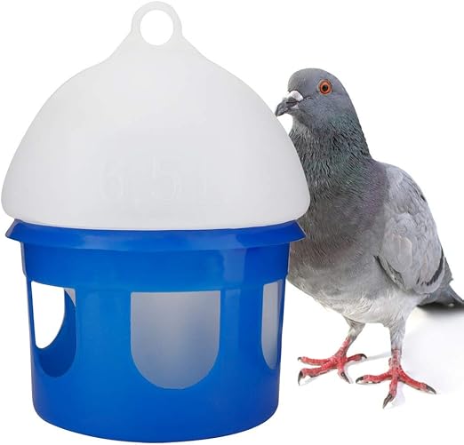 automatic pigeon feeder