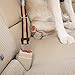 Kurgo Direct to Seatbelt Tether - Easy-Use Dog Car Harness Clip - Adjustable Ride Strap - Universal Fit for Most Vehicles - All Steel Hardware - Backseat Restraint - Orange