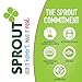 Sprout Organic Baby Food Teetherz Beet Rasberry Teething 30 Wafers,, Pack of 1