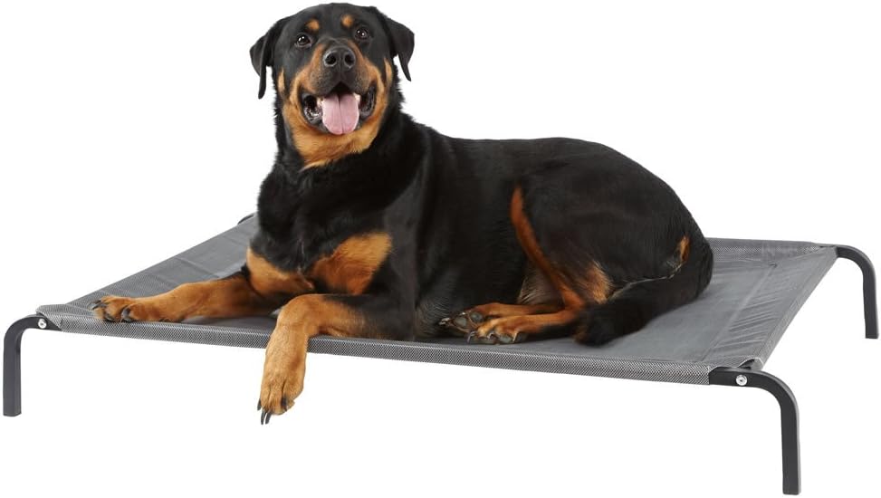 barkhaus raised dog bed