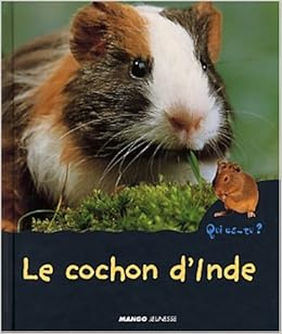 Le Cochon D Inde Qui Es Tu Animaux French Edition Jonas Anne Amazon Com Books Le Cochon D Inde Qui Es Tu Animaux French Edition Jonas Anne Amazon Com Books