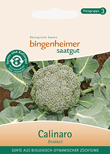 Bingenheimer Broccoli Calinaro Organic Dynamic Breeding Vegetable Plants 1 Pack
