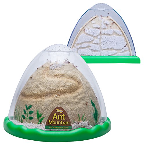 Best Ant Farms Best Deals for Kids