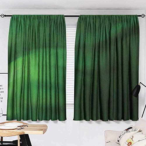 Josepsh Forest Green Curtains Extra Darkening Curtains Abstract