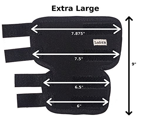 Labra Extra Supportive Dog Canine Rear Leg Hock Joint Wrap Protects Wounds as They Heal Compression Brace Heals and Prevents Injuries and Sprains Helps Arthritis