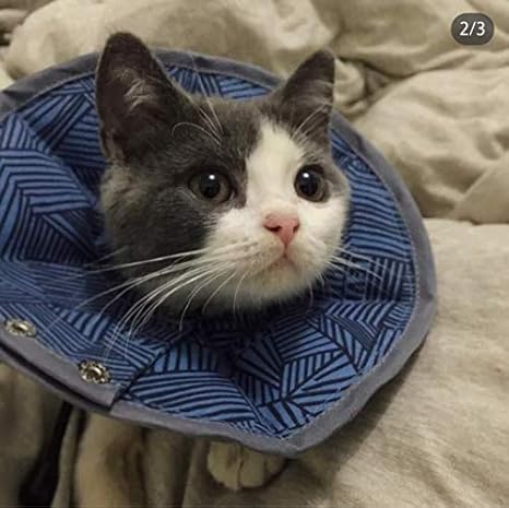 Kitten head cones Clearance