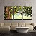 wall26 - 3 Piece Canvas Wall Art - Spring Meadow with Big Tree with Fresh Green Leaves - Modern Home Art Stretched and Framed Ready to Hang - 24