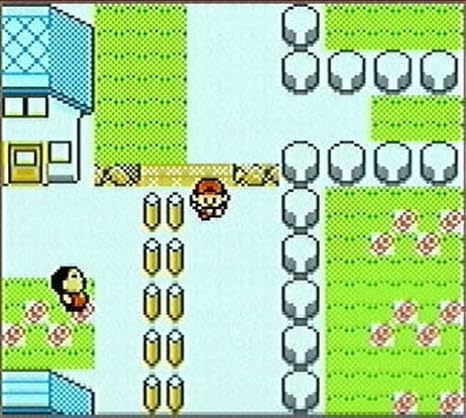 Amazon Com Pokemon Gold Nintendo Game Boy Color Video Games