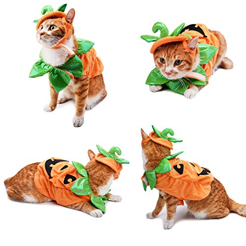Legendog Cat Halloween Costume,Cat Halloween Apparel Pumpkin Design Funny Pet Clothing Halloween Cat Outfit with Pumpkin Headwear for Cats and Puppy