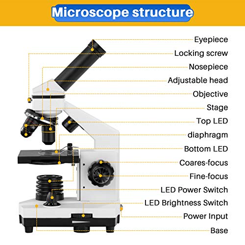 6 200X+2000X+Microscopes+Microscope+Biological+Laboratory