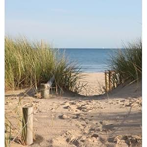 Amazon.com: Printed Photography Beach, pier pilings