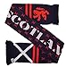 Scotland Soccer Knit Scarf