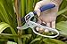 Spear & Jackson 6358RS Razor-Sharp Ratchet Secateurs with Loop Handle