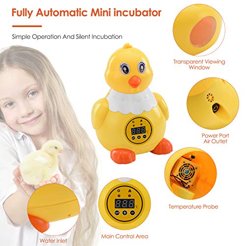 InLoveArts Brutmaschine Vollautomatisch 6 Eier, Digitale Automatische Inkubatoren mit Hoch- und Niedertemperatur… – Bild 3