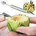 Daixers 2PCS Melon Baller Fruit Carving Knife Fruit Slicer 2 in 1 Multifunction Home Kitchen Tools For DIY Fruit Salads,Garnishes and Desserts,Cake,Ice Cream Scooper