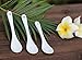 AWHOME White Porcelain Spoons Coffee, Tea, Yogurt and Ice-cream, Cutlery Fitting Ceramic Spoons 5 Inch Set of 10