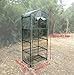Fdit Transparent Winter Plant Green House Cover for Yard Garden Plant (27.17 x 19.27 x 62.99 inch)