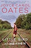 Little Bird Of Heaven: A Novel