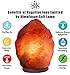 Voltas Himalayan Salt Lamp is Hand Carved Out of 7