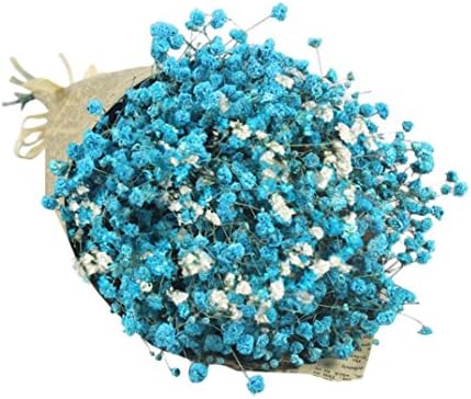 CMrtew Natural Dried Flower, Natural Dried Flower Baby's Breath Gypsophila Home Office Bouquet Decor (Blue)