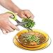 Vegetable's Chef - Culinary Herb Scissors - 5 Blades Stainless Steel Shears with Cover and Cleaning Comb