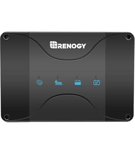 Amazon.com: Renogy REGO 12V 60A DC-DC Plug and Play Battery