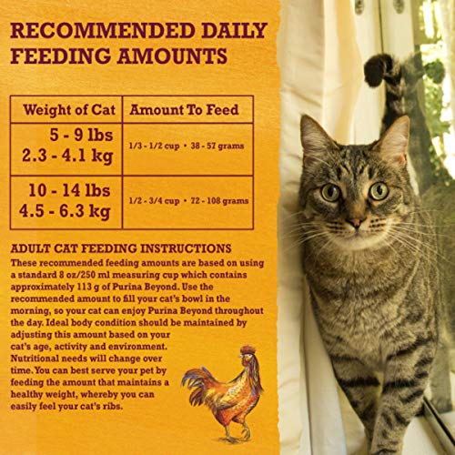 PURINA BEYOND GRAIN FREE WHITE MEAT CHICKEN AND EGG RECIPE NATURAL CAT FOOD HIGH PROTEIN CAT FOOD DRY FORMULA – 3 LB. BAG