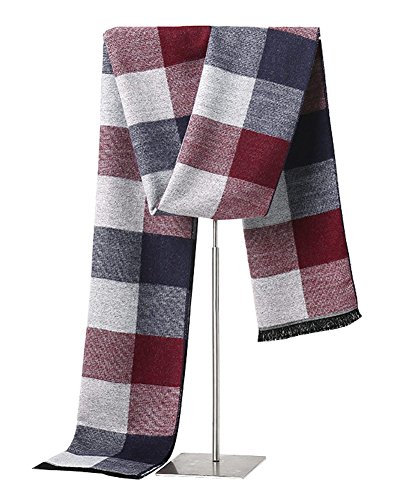 MuNiSa Men's Winter Scarf Plaid Stripes Long Cashmere Scarves with Tassel(White)