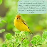 Garden Ting Premium Suet Fat Balls for Wild Birds 3 Litre Tub view 2