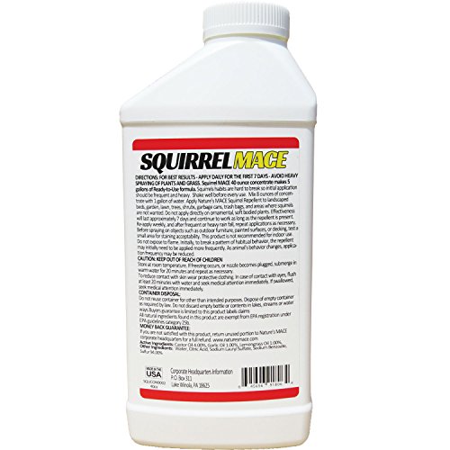 Squirrel MACE Squirrel Repellent 40oz Concentrate Pricepulse