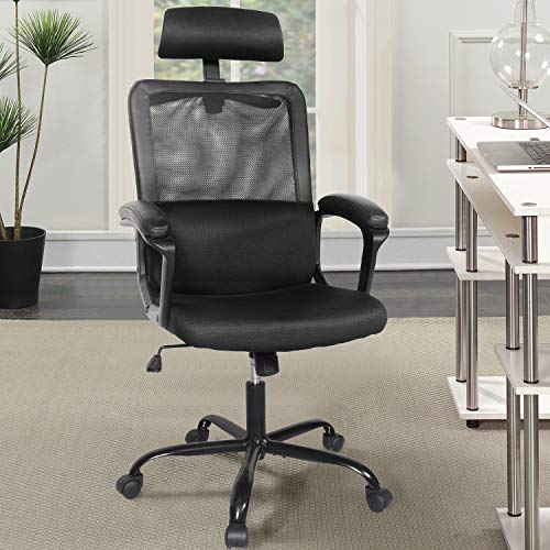 Smugdesk Office Chair, High Back Ergonomic Mesh Desk Office Chair with