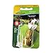 Green Thumb 09QCMGT Brass Male Connector for Hose