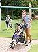 Graco Modes Sport Click Connect Stroller, Basin