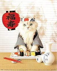 YISUMEI 40" x 50" Blanket Comfort Warmth Soft Plush