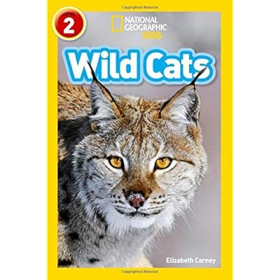 Katta mushuklarning fotosuratlari