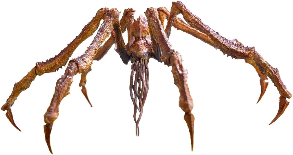 Hiyatoys Exquisite Basic Series None Scale 7 Inch Godzilla x Kong The New Empire Scylla