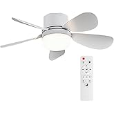 ASALL Socket Breeze Socket Fan Light with Remote Control, Portable Small Ceiling Fans with Lights for Bedroom, Kitchen, Living Room, with Dimming Function, 1000 Lumens, Screws into E26/E27