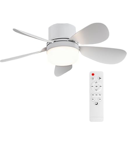 Wooden-Painted 3000K-6500K Cooling 2.4G Wireless Reote LED Ceiling Fan Light - Ceiling Fan Light, Ceiling Fan with Light