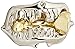 BePuzzled Shark Hanayama Cast Metal Brain Teaser Puzzle (Level 1) Puzzles For Kids & Adults Ages 12 & Up