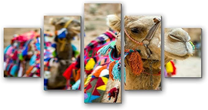 Amazon Co Jp ラクダ にカラフルな毛布 動物 5枚 パネル アートパネル 現代壁の絵 壁掛け部屋飾り背景絵画 キャンバス写真 壁アートしゃしん 木枠付きの完成品 装飾 軽くて取り付けやすい ホーム キッチン