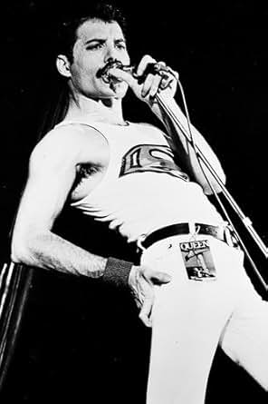 freddie concert 24x36