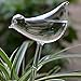 Calunce 2pcs Small Hand Blown Clear Glass Self Watering Aqua Globes (large bird)