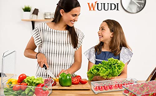 Wuudi Kühlschrank Organizer 4er Set mit Abdeckung, Hochwertig Speisekammer Vorratsbehälter mit Griff, Durchsichtig Aufbewahrungsbox Organizer für Kühlschrank, Schränke -BPA Frei