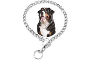 HIMYBB Martingale Chock Dog Chain Collars, Metal Slip Link Training Heavy Duty Dog Collar Puppy Collars