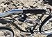 Firmstrong Urban Man Beach Cruiser Bike, Mens Bicycle 26-Inch, 7-Speed, Matte Grey