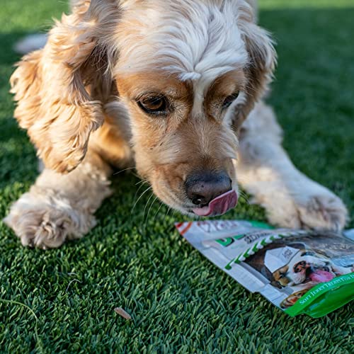 LOVING PETS TOOTHSTICKS – FRESH MINT DENTAL STICKS FOR DOGS (FOR MEDIUM/LARGE DOGS 20-100+ LBS)